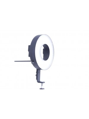 LED Ring Light 360