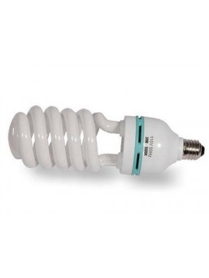 30watt Spiral Globes